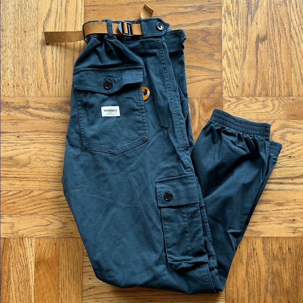 Wondery Teal Hiking Pants